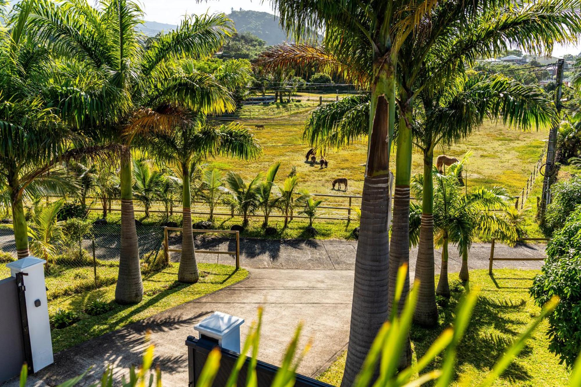 Villa Et Grand Jacuzzi Six Personnes, En Pleine Nature แซ็ง-โฌเซฟ ภายนอก รูปภาพ